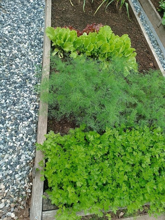 ГОТОВИМ ПЛАН ПОСАДОК👍