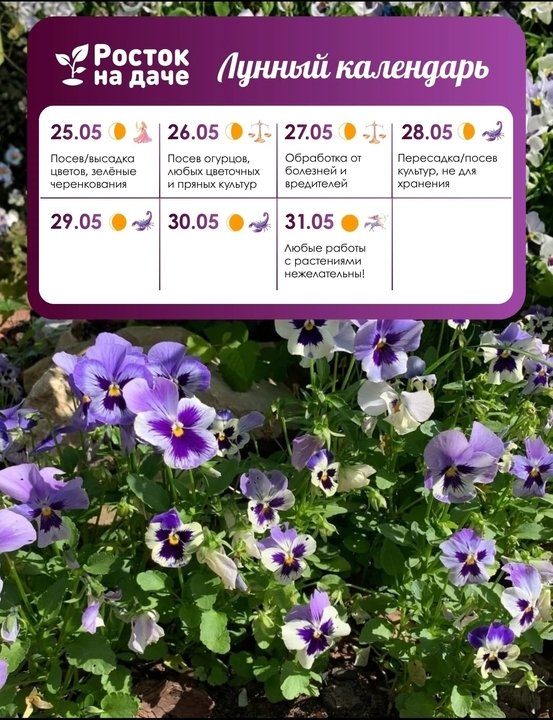 📝ЛУННЫЙ КАЛЕНДАРЬ. МАЙ🌸 с 25.05.2026 - 31.05.2026