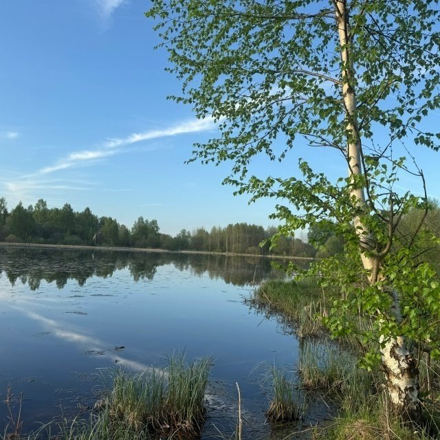 ☀ИЮНЬ. Основные дела в саду.