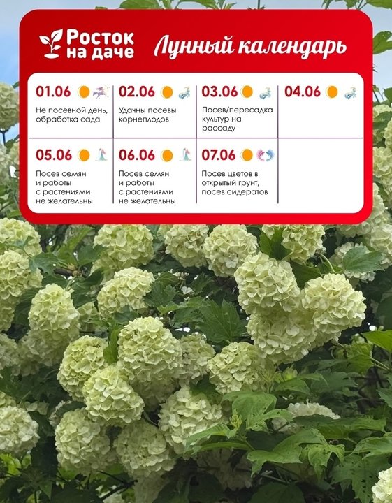 📝ЛУННЫЙ КАЛЕНДАРЬ. ИЮНЬ🌸 с 1.06.2026 - 7.06.2026