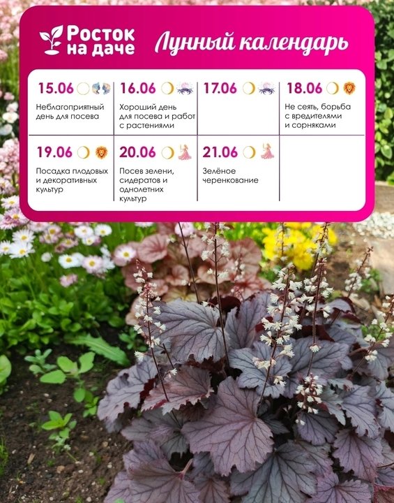 📝ЛУННЫЙ КАЛЕНДАРЬ. ИЮНЬ🌸 с 15.06.2026 - 21.06.2026