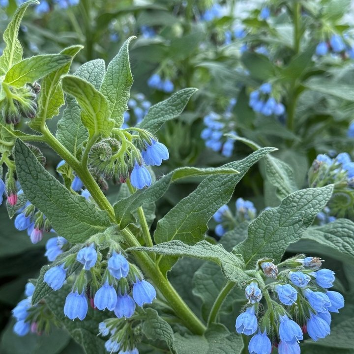 📌Рубрика -