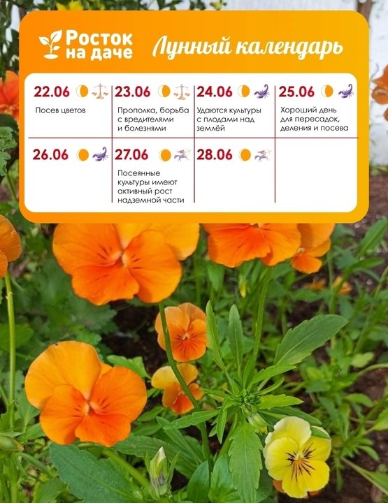 📝ЛУННЫЙ КАЛЕНДАРЬ. ИЮНЬ🌸 с 22.06.2026 - 30.06.2026
