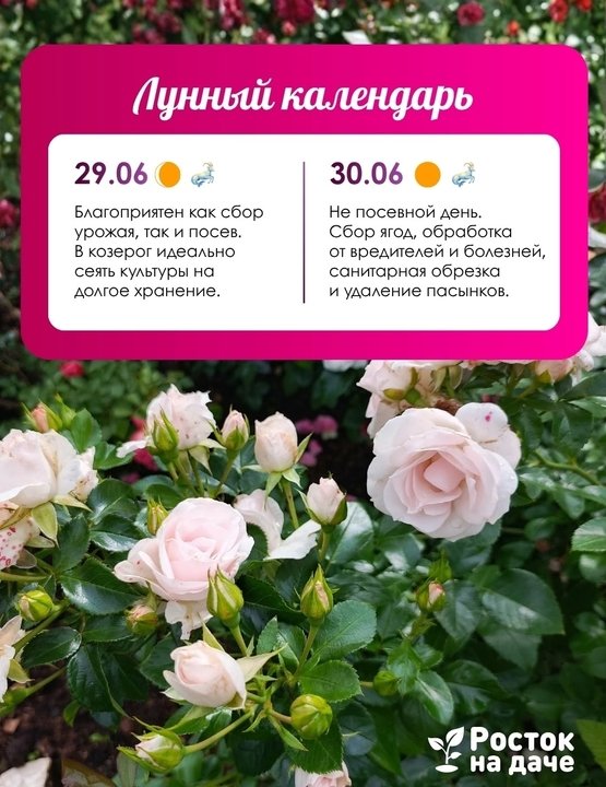 📝ЛУННЫЙ КАЛЕНДАРЬ. ИЮНЬ🌸 с 29.06.2026 - 30.06.2026