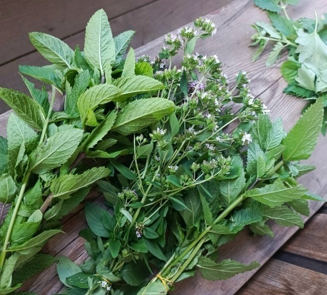 ЗАГОТАВЛИВАЕМ ЧАЙ 🍃