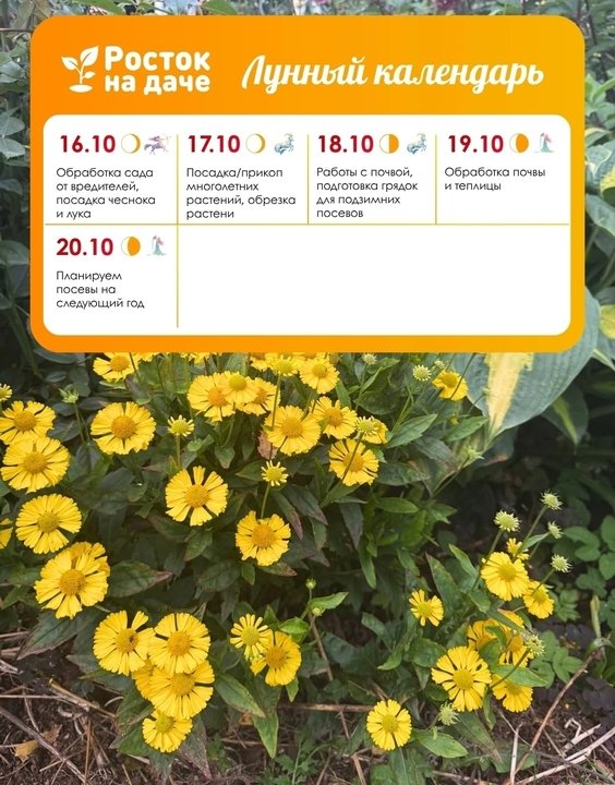 ЛУННЫЙ КАЛЕНДАРЬ. 🍁🍂ОКТЯБРЬ 16.10.2026 - 20.10.2026 🗓