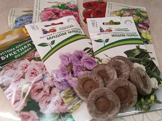 ЭУСТОМА💜 Готовимся к посеву🌱 ШПАРГАЛКА ПО ГРУППАМ ЦВЕТЕНИЯ🌺