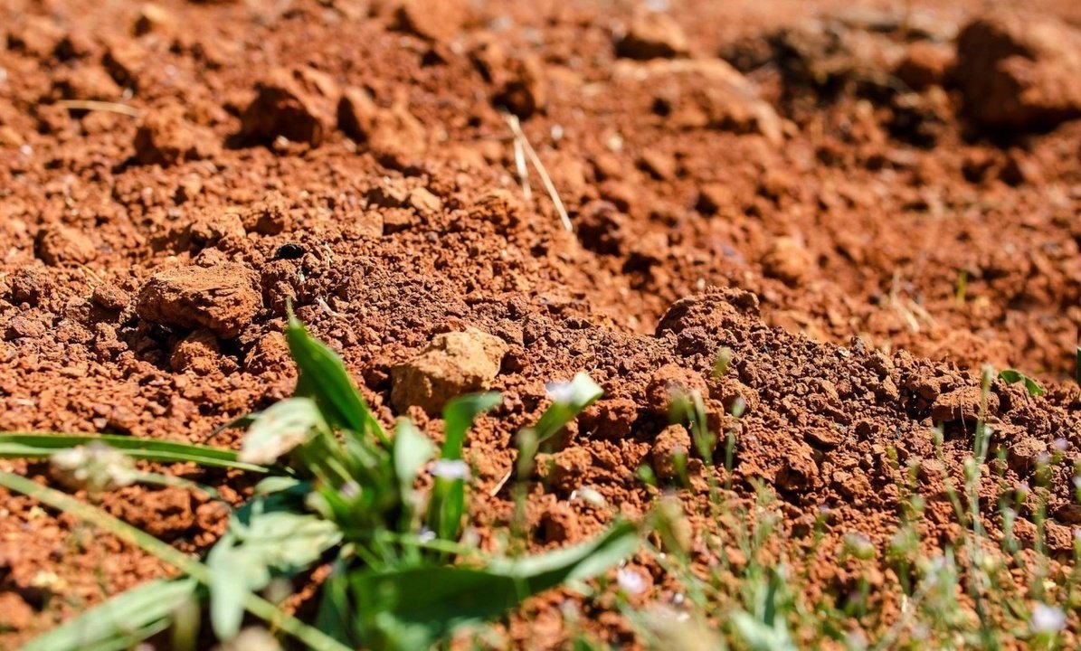 Как улучшить глинистую почву?
