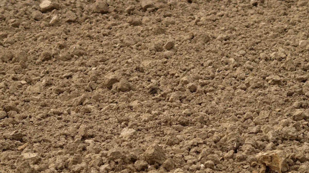 Создание структуры песчаной почвы на участке
