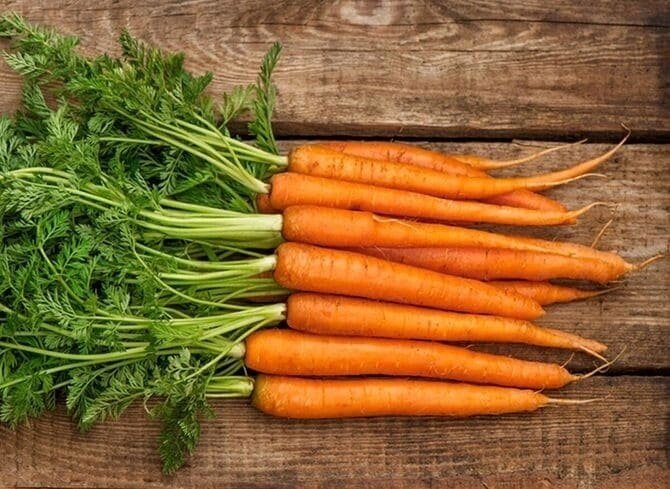 Морковь. Советы по выращиванию