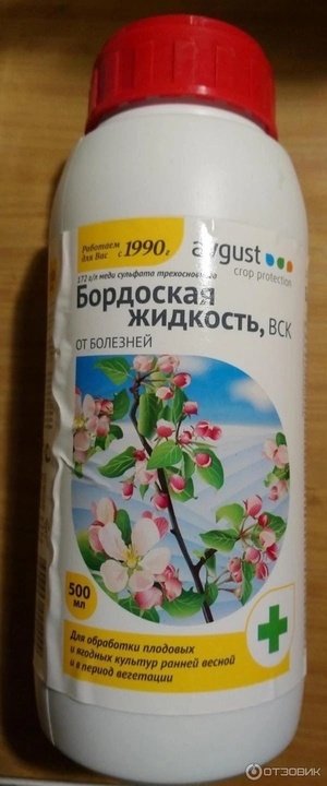 Первая обработка Роз весной (середина апреля - начало мая). Препараты против болезней. Киров
